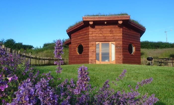 Aerona Lodge nestles into the meadow with its turf roof and timber frame, blending beautifully with the Welsh countryside. Warm light spills from its